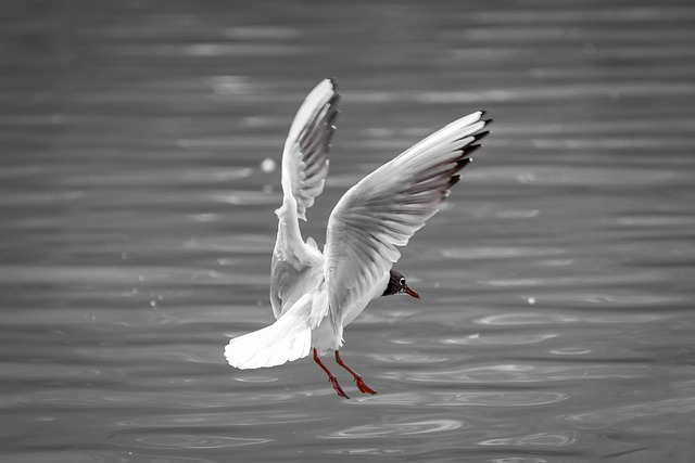 Poesia sulla speranza
